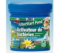 Filterstart pond 250 gr (bassin) G