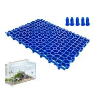 filtrante pour fond d'aquarium - de filtration pour clap - Forte capacité de charge, petits fournitures pour animaux de compagnie pour tortues, petits reptiles, petits amphibiens