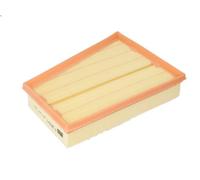 Filtre à ai MANN-FILTER C 2510/1 pour KANGOO BE BOP (KW0/1_) 1.5 2009-2012