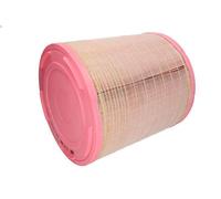 Filtre à ai MANN-FILTER C 31 98 pour IRISBUS AGORA 7.79 2003-2005