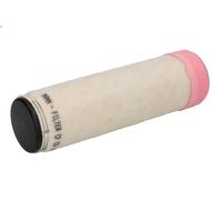 Filtre à ai MANN-FILTER CF 5