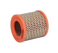 Filtron Filtre à air AR 237/1