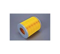 Filtre à air AUTOMEGA 180069110