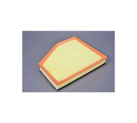 Filtre à air AUTOMEGA 180071510