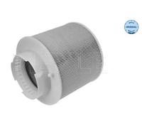 Filtre à air Cartouche filtrante 112 321 0022 MEYLE pour AUDI A6 C6 A6 C6 Avant