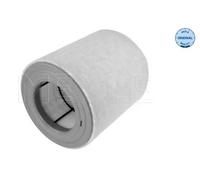 Filtre à air Cartouche filtrante 112 321 0038 MEYLE pour AUDI A6 C7 A6 C7 Avant