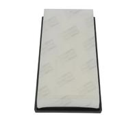 Filtre à air Cartouche filtrante CAF100863P CHAMPION pour JAGUAR X-TYPE I