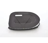 Filtre à air BOSCH F 026 400 366