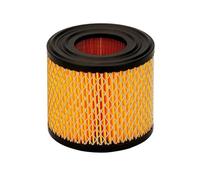 Filtre à air, compatible avec les tondeuses à gazon Briggs&Stratton 393957, 390930, 393957S, PT9334, 4106, 7-18 CV(2pcs)
