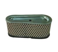Filtre à air compatible pour moteur Briggs & Stratton, remplace 496894S