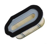 Filtre à air de rechange pour moteurs à gaz 800/1000/1600, construction en métal et feutre pour une meilleure performance et une meilleure efficacité énergétique des tondeuses à gazon