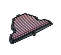 Dna P-k10s10-0r Air Filter Argenté