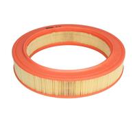 Filtre à air FILTRON AR339