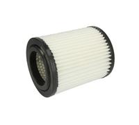 Filtre à air HENGST FILTER E813L