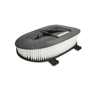 Hengst & Co Filtre à air Cartouche filtrante E1073L pour BMW X3 X5 X6