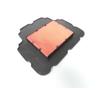 Filtre à air Hiflofiltro pour Moto Honda 650 FMX 2005 à 2007 HFA1609 Neuf