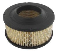 Filtre à air HOMELITE 46073