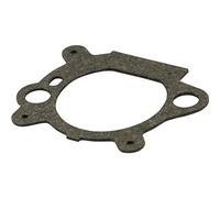 Filtre à air & joint briggs stratton