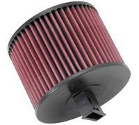 Filtre À Air K&N E-2022 Compatible Avec 05-08 323i 325i 330Ci 330i 330xi