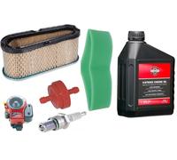 Filtre à Air Kit SAE30 Tecumseh OHV 110 115 120 125 130 Tracteur MTD 36356