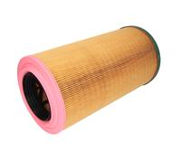 Filtre à air MANN-FILTER C 19 450