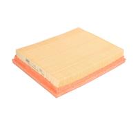 MANN-FILTER Filtre à air C 2151