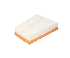 Filtre à air MANN-FILTER C 2538