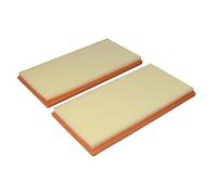 Filtre à air MANN-FILTER C 3361-2