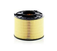 Filtre À Air Mann-Filter C17012/1 Pour Audi A4 8W2 8WC 8W5 8WD A5 F53 F5P