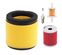 Filtre à air moteur Filtre à air, filtre huile, bougies d'allumage, carburant, carburateur pour moto pour Arctic pour Cat 250 300(4 Pcs)