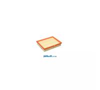 Filtre à air PURFLUX A1746