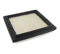 Tecumseh Filtre à air 37360 - 184 x 175 x 32 mm - Compatible OV691EA/OV691EP/TVT69