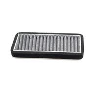 Filtre À Charbon Actif Pour Tesla Pour Modèle 3 2021 - 2025 Élément Filtrant Externe Voiture Filtre D'entrée D'air Climatisation Purification