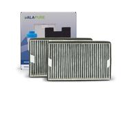 Filtre à charbon Alapure HFK3975 - Compatible avec Miele DKF19-P / FWKM-1423 (lot de 2)