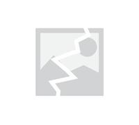Filtre ã charbon falmec 103050102 / type 2 / typ a 103050102_fal