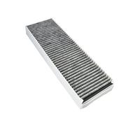 Filtre à charbon PUAKF (anti-odeur de poisson) pour Bora Pure