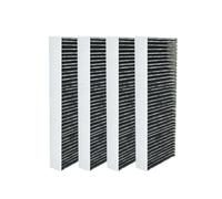 Filtre à charbon sans anti-odeur de poisson (2pcs) pour Bora Basic / GP4