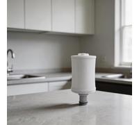 Filtre à eau longue durée pour eSpring 5000L pour une utilisation d'un an