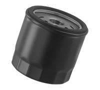 Filtre à huile 491056 - Bidon à visser - Compatible avec Onan 122-0645 AM101207 Vanguard 5-14 - Version haute - Métal - Filtration 25 microns - Noir