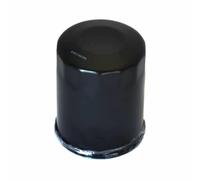 Filtre À Huile À Visser Athena FFP016 Pour Moto Mercury Fourtemps 60 0