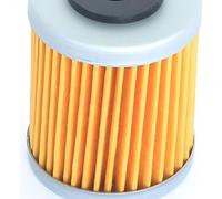 Filtre à huile Athena pour Beta / KTM 59038046144, 59038046101, 59038046100, 59038046000 / Polaris / HF157