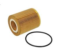 Filtre à huile FILTRON OE 667/3 pour CITROEN C6 (TD_) 3 2009-2012