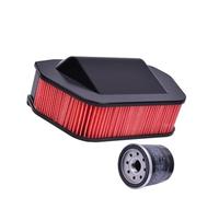 Filtre à huile for moto compatible avec XVS950 2009-2017 et XVS1300 2010-2017(Air and Oil Filter)