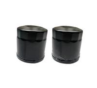Filtre À Huile Grille De Filtre À Huile Moteur Remplacement pour Moto Et Scooter 350cc pour ZT350T-D pour ZT350T-E pour ZT350 T pour D/E(2Pcs)