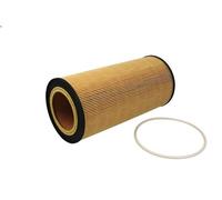 Filtre à huile HENGST E43H D213 pour DAF DB 9.186 1991-2003