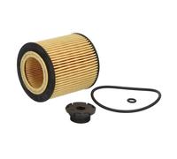 Hengst Filtre à huile E61H D258 pour BMW 5 (F10)
