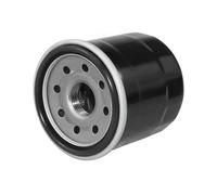 Filtre À Huile pour Moto 1/2/3 Pièces pour F50TLR pour T50TLR pour 50HP pour F60TJR pour F60TLR pour T60TLR pour 60HP pour FX1000 pour FAT1100 Filtre À Huile(Black 3)