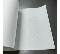 Filtre à membrane PTFE hydrophobe haute efficacité (1 pièce) avec support PET - 260 x 230 mm - Solution de séparation gaz-liquide(Pore Size 1μm)