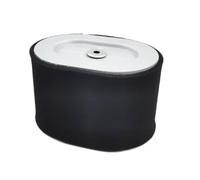 Filtre à XR2100 compatible avec les moteurs XR2100 25T et 25T2 de 420 cm³