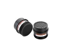 Filtre A2P3R FILTERS - Boîte de 6 filtres - COVERGUARD - 6REF420NSI